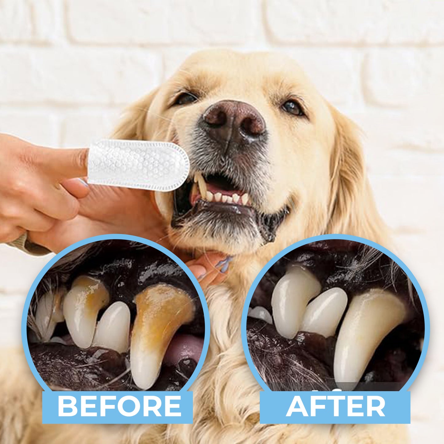 VetWipe™ Dog Teeth Cleaning Finger Wipes GTIN # 0198715234961