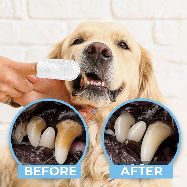 VetWipe™ Dog Teeth Cleaning Finger Wipes